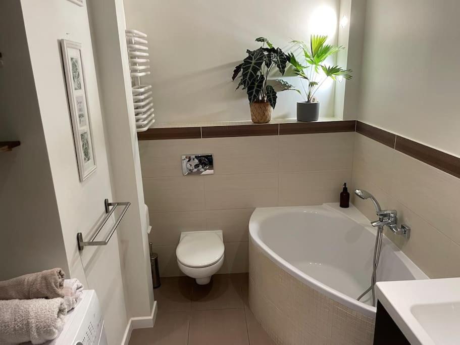 Comfortable Apartment In Warsaw Bielany Buitenkant foto